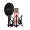 Студийный микрофон NT1 Signature Series Pink, Цвет: Pink