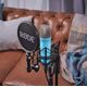 Студийный микрофон NT1 Signature Series Blue, Цвет: Blue, изображение 6
