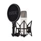 Студийный микрофон NT1 Signature Series White, Цвет: White